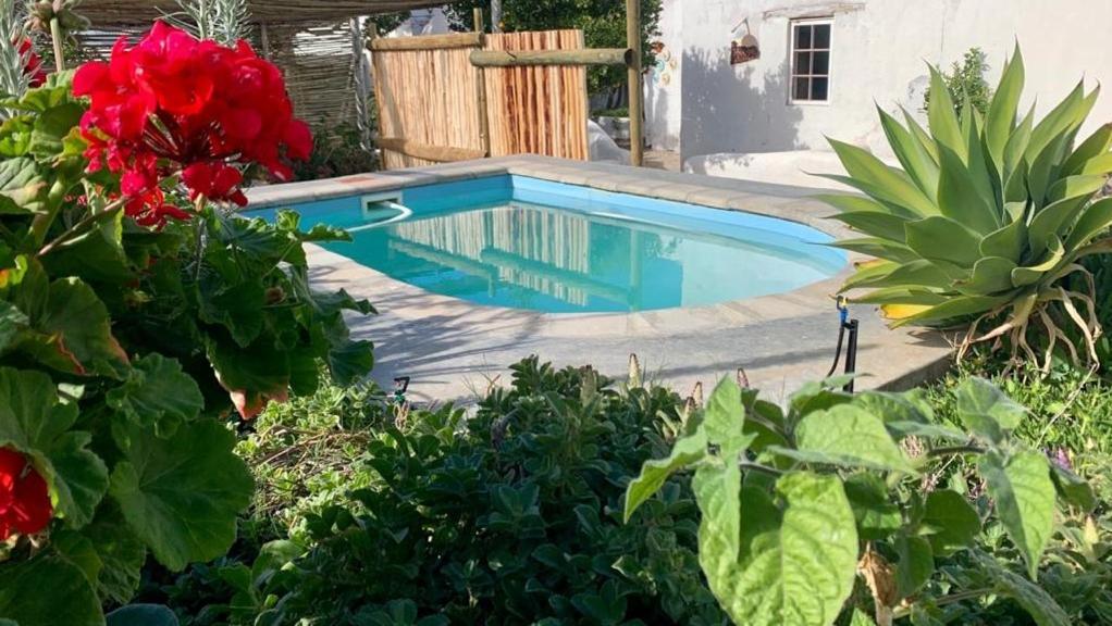 Ta Mala'S Cottage Prince Albert Dış mekan fotoğraf