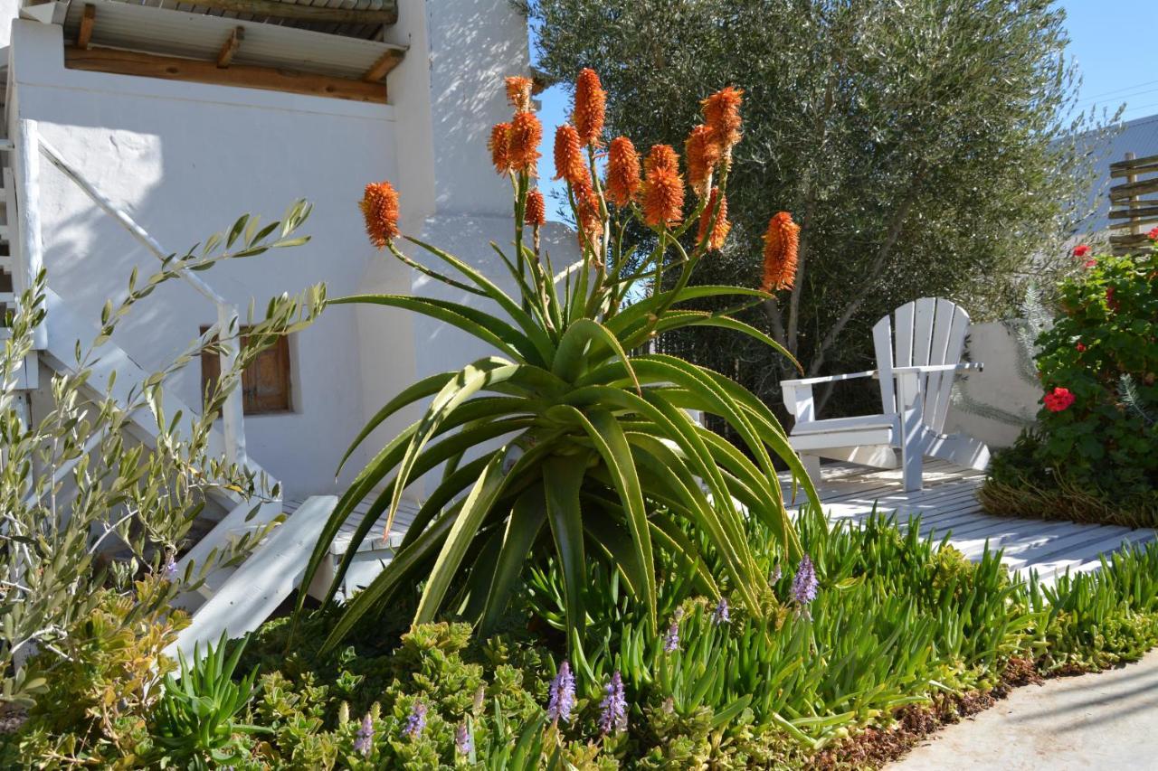 Ta Mala'S Cottage Prince Albert Dış mekan fotoğraf